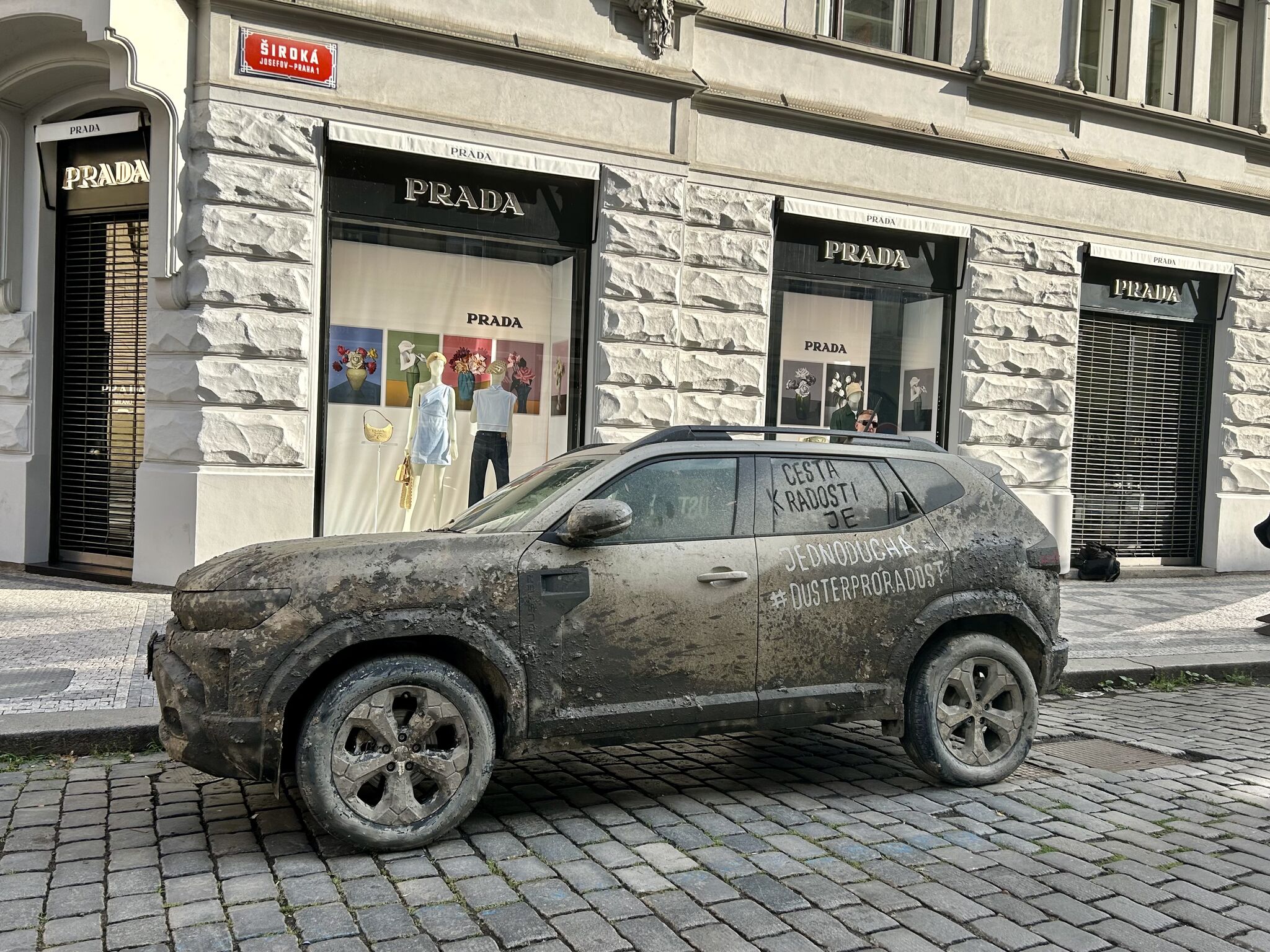 Náhled případové studie Dacia - Cesta k radosti